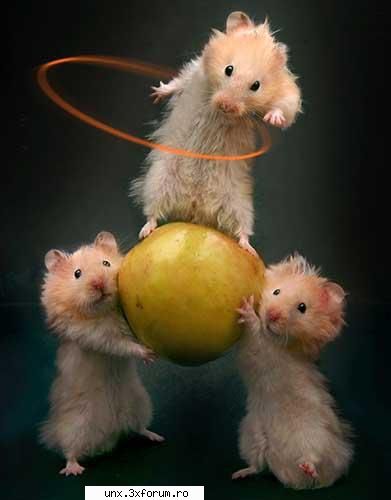 fun pics victor nush cine