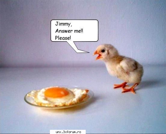 Fun Pics - p0pic3L - Poze