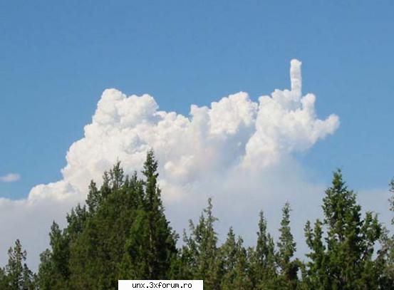 Fun Pics - norul intr`o zi proasta - Poze